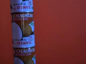 THE GENERAL RIDICULOUSNESS OF TRYING TO DEFINE ASIAN AMERICAN ANYTHING_